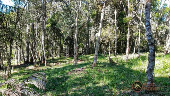 Lote em Condomínio Rural na Serra Catarinense