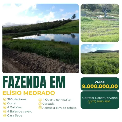 FAZENDA EM ELÍSIO MEDRADO - 390 HECTARES