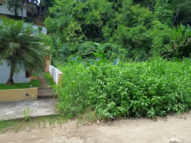 Terreno Bosque Beira Rio - 1000m2. Aceita Permuta