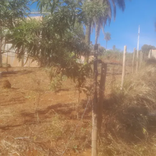Lotes com escritura e registro