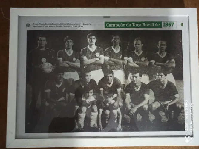 Quadro com moldura 33 x43 palmeiras campeão brasileiro 1967 com tela plástico