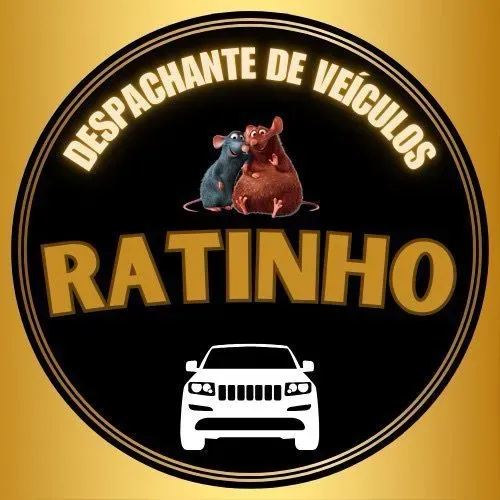 Serviço De Despachante de Veículos (Despachante Credenciado ?)