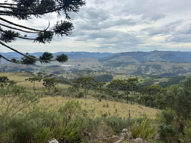 SÍTIO NA SERRA CATARINENSE 2 HECTARES- PERICÓ ENTRE URUBICI/SÃO JOAQUIM  