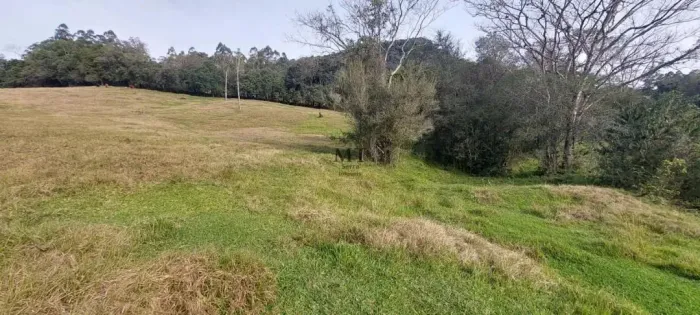 Área de terra bairro Joaneta, Picada Café.RS Ref.:204
