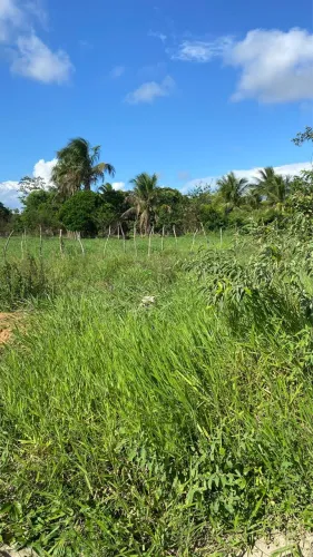 Terreno 7x19 já com cisterna!