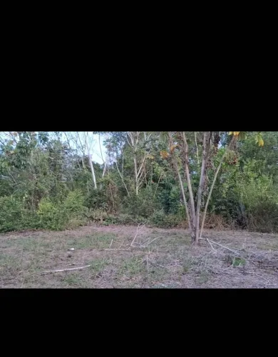 Matapi