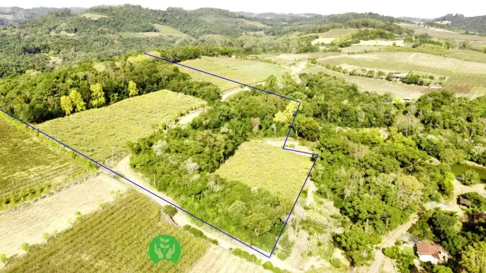 Área de terras à venda com 10 hectares, localizada no interior de Garibaldi,
