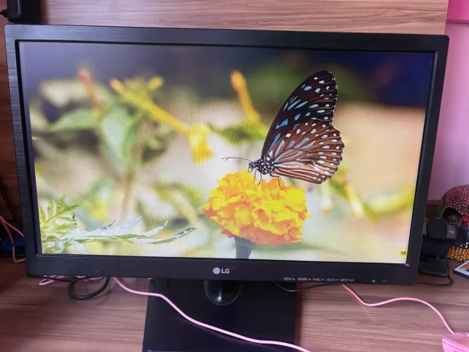 Monitor LG 19,5 polegadas