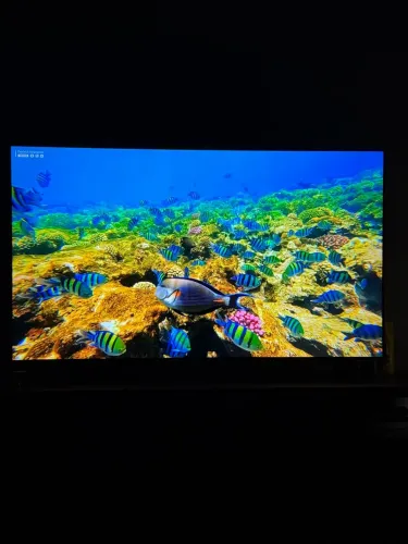 TV SMART SAMSUNG 65 polegadas