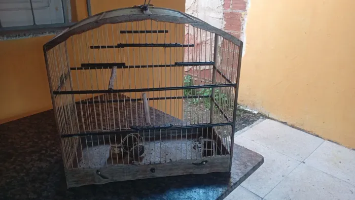 Gaiola