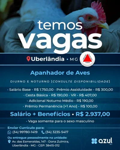 Apanhador de aves