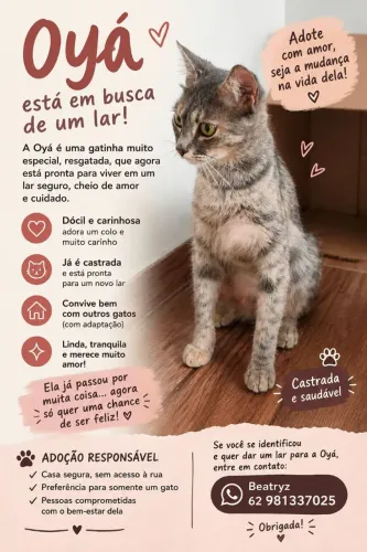 ADOÇÃO RESPONSÁVEL - PASSE PARA O LADO