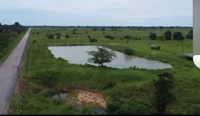 OPORTUNIDADE COM PERMUTA. Fazenda no Km 20 da BR319 no Careiro. 1.500ha e 1.000ha abertos