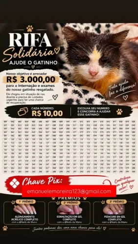 AJUDA PARA O FRAJOLINJA
