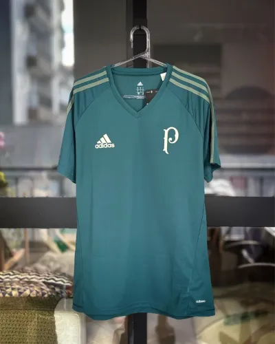 Camisa Palmeiras Treino