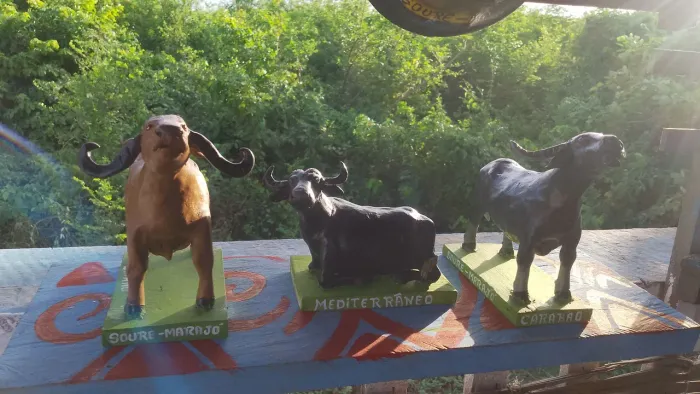 Bufalos miniatura em cerâmica
