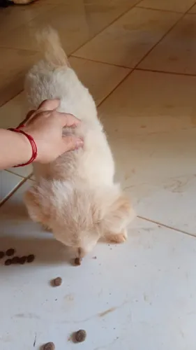 Doação