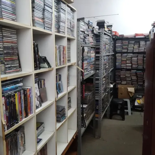6500 CDs e DVDs Todos em Ótimo estado - MPB, Sertanejo,  Forró, Pop, Clássicos e outros