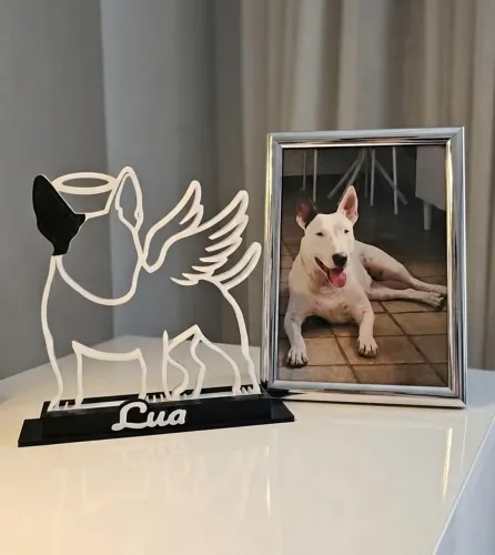 Homenagem Pet Personalizada - Escultura 3D da foto do seu Animal (qualquer especie)