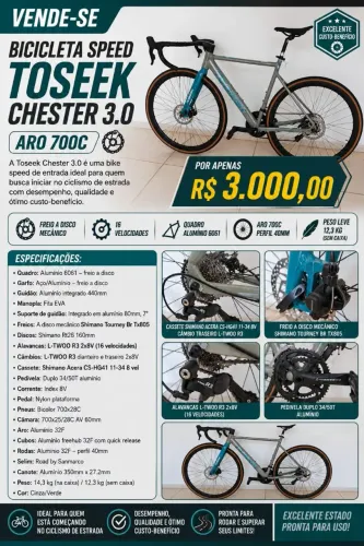 Bicicleta Speed