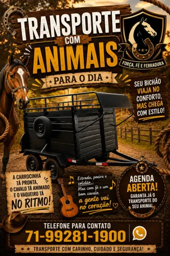 Cavalos transporte com segurança e estilo. Até 2 cavalos qualquer lugar