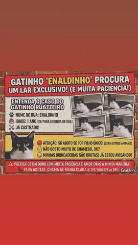 Adoção Responsável