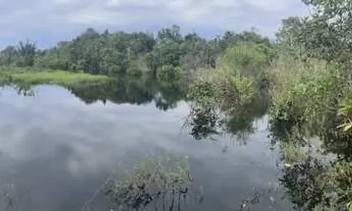 Terrenos para Chácaras Rústica de fundos para Rio Negro