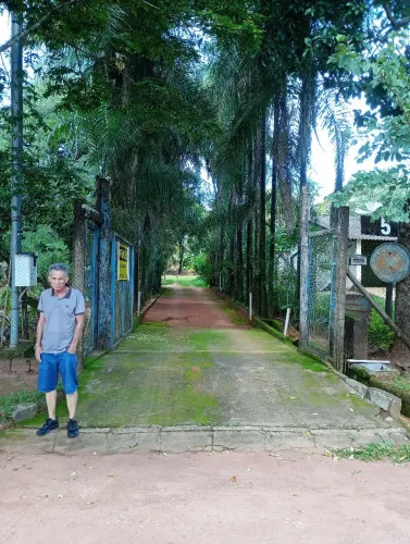 Vendo chácara no Panorama 