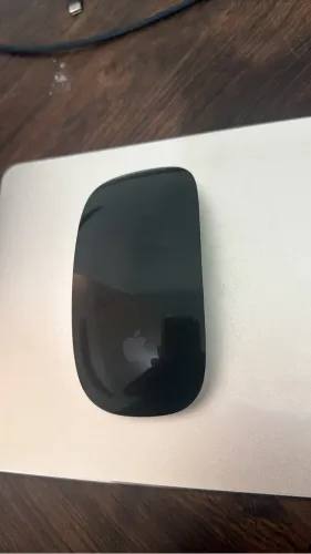 Mouse Apple (Magic) - USB C