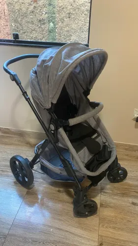 Carinho de bebê Moisés
