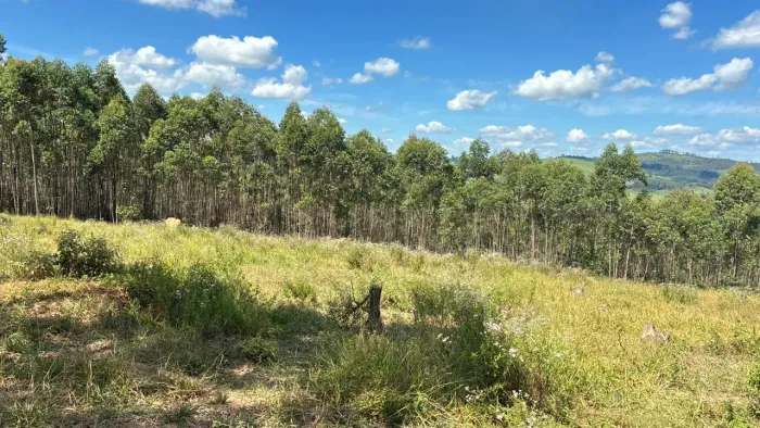 CHÁCARA 1.041 m² JECEABA - PIEDADE GERAIS