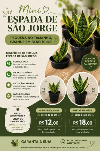 Mini Espadas de São Jorge