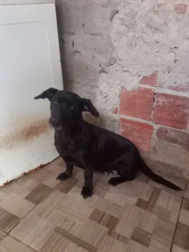  Doação 