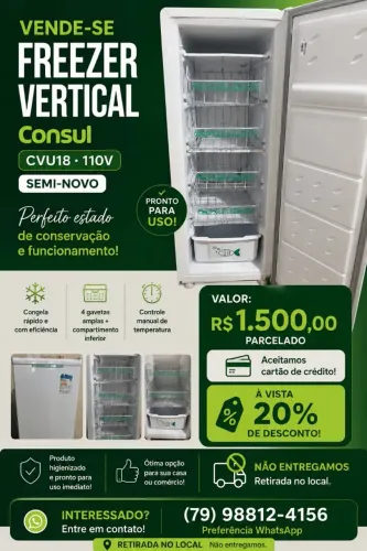 Freezer Vertical