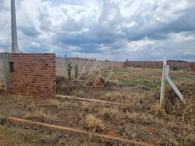 Chácara para venda  Recanto Azul  Padre Nóbrega  Marília/SP