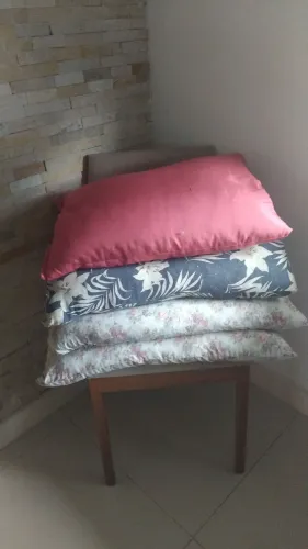 Travesseiro Pena De Ganso Legítimo Luxo 50x70 - Desapego R$30 cada