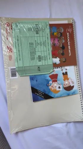 Vendo kit de livro Mackenzie 2 anos