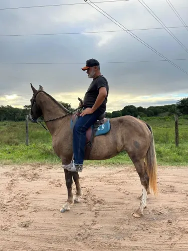 Égua com Potra