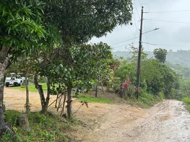 Sítio a venda