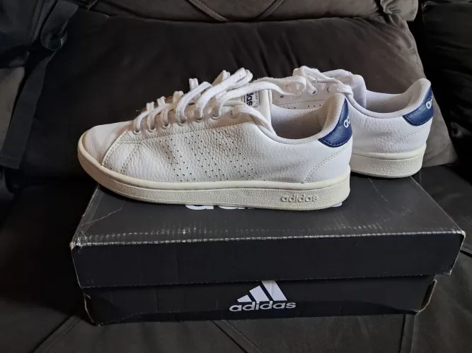 Tenis