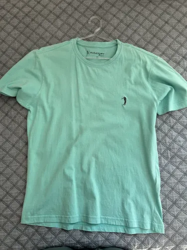 Camisa