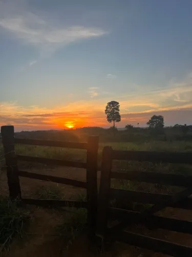Terra de 10 alqueires "50 hectares" entre Marabá e Parauapebas