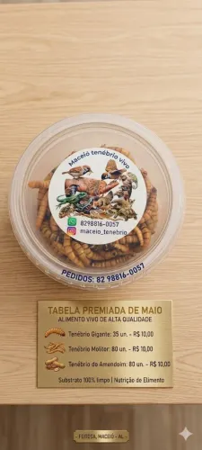 Tenebrio vivos 