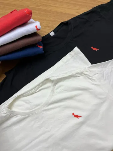 Camisas e Bermudas