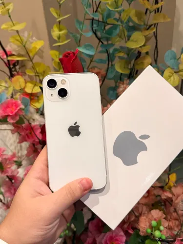 iPhone 13