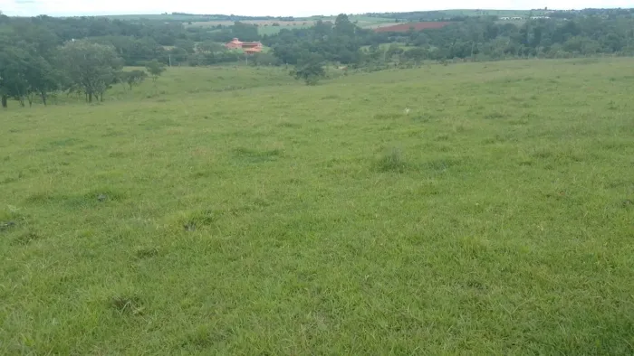 Sitio em cesario langer 5 alqueires Não tem casa Terra vermelha Valor 1.200,000,,00