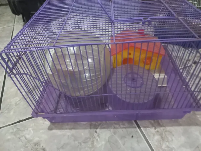 Gaiola de hamister