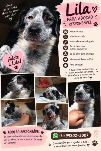 Lila está procurando uma família que possa dar muito amor e carinho para ela! ?