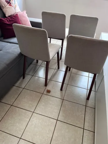 4 cadeiras de jantar 100,00 cada - madeira - Casa  Barroco 100,00 cada