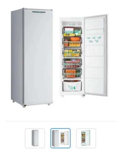 Freezer Vertical Consul
